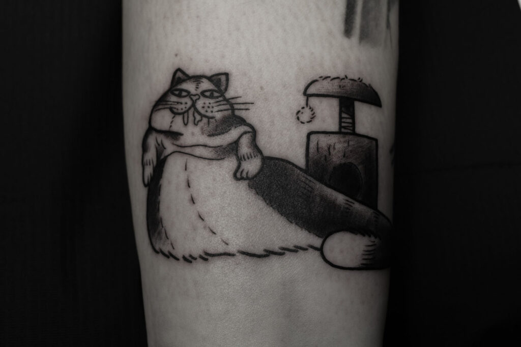 Jabba the cat